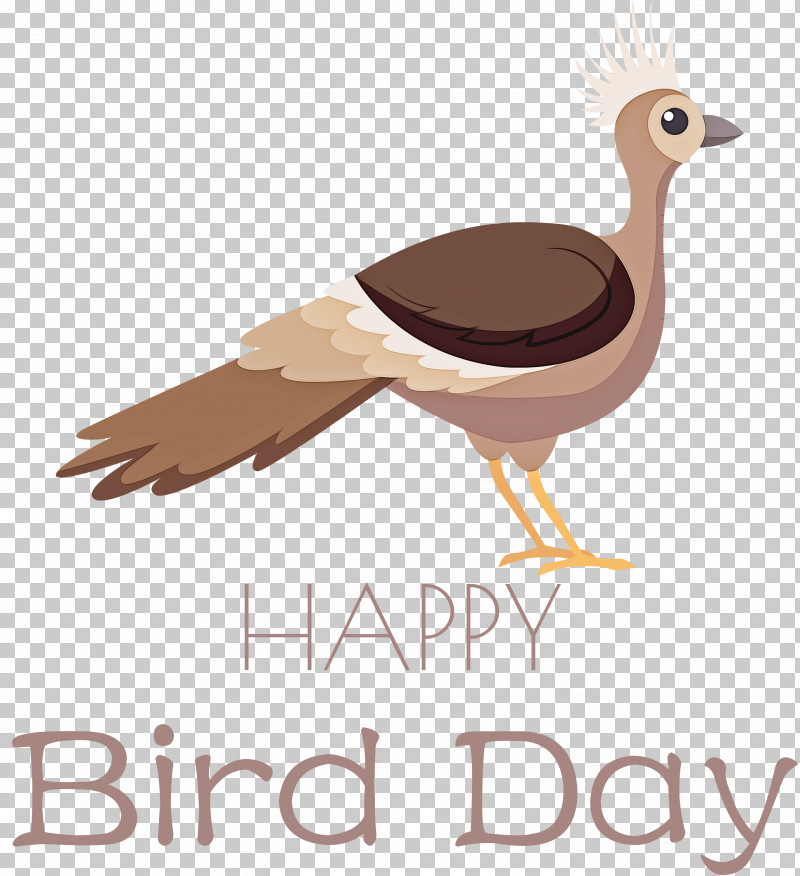 Bird Day Happy Bird Day International Bird Day PNG, Clipart, Beak, Bird Day, Birds, Ducks, Feather Free PNG Download
