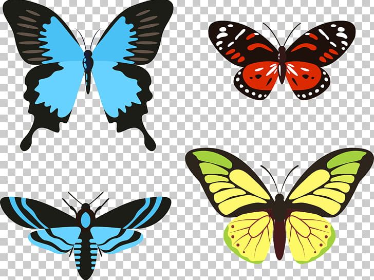 Butterfly Cockroach Insect Illustration PNG, Clipart, Art, Brush Footed Butterfly, Hand, Hand Drawn, Happy Birthday Vector Images Free PNG Download