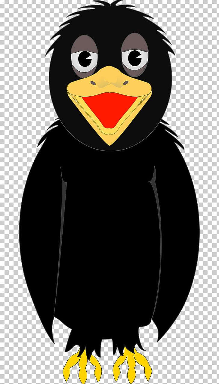 Common Raven Bird Free Content PNG, Clipart, Animals, Background Black, Beak, Bird, Bird Of Prey Free PNG Download