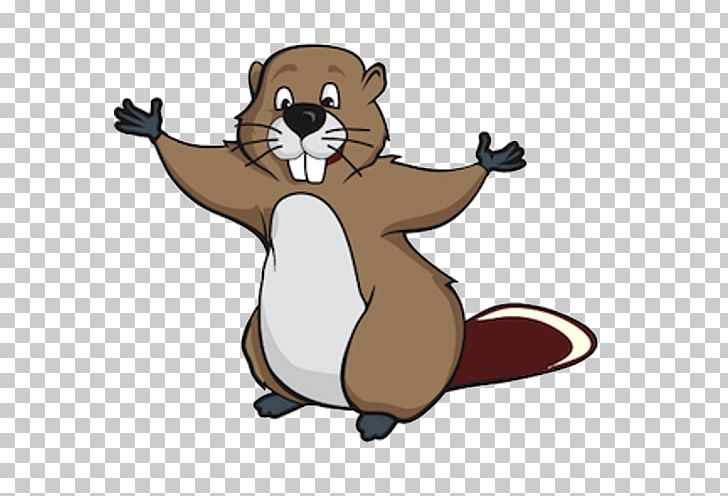 Drawing Cartoon PNG, Clipart, Animation, Bear, Beaver, Carnivoran, Cartoon Free PNG Download