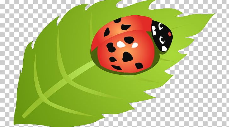 Ladybird Leaf PNG, Clipart, Autumn Leaves, Banana Leaves, Beetle, Cartoon, Coccinella Septempunctata Free PNG Download