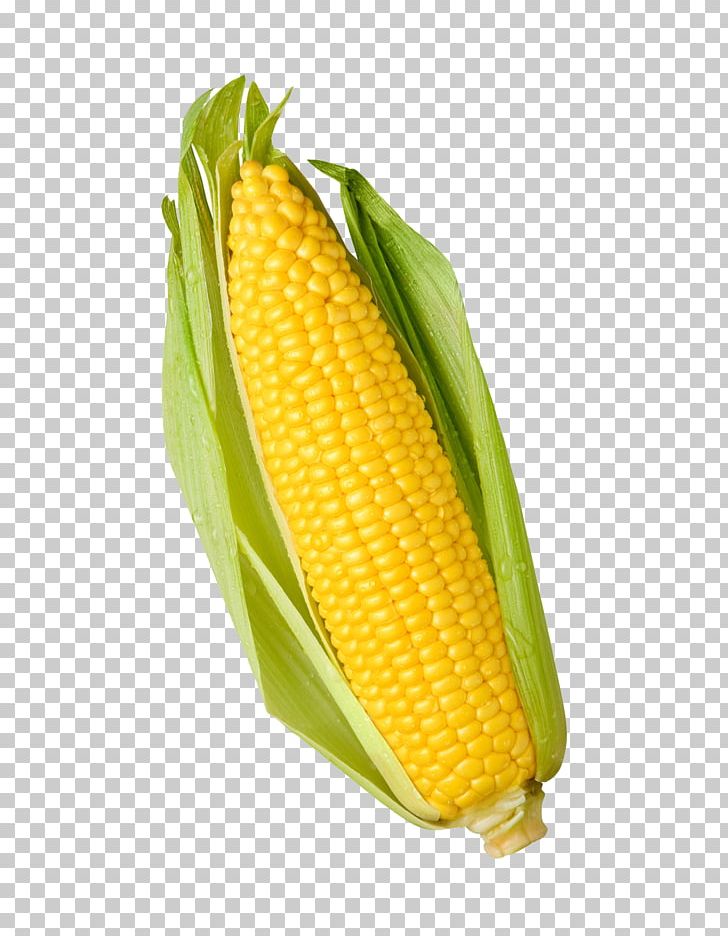 Popcorn Candy Corn Sweet Corn Corn Kernel Maize PNG, Clipart, Baby Corn, Cartoon Corn, Commodity, Corn, Corn Cartoon Free PNG Download
