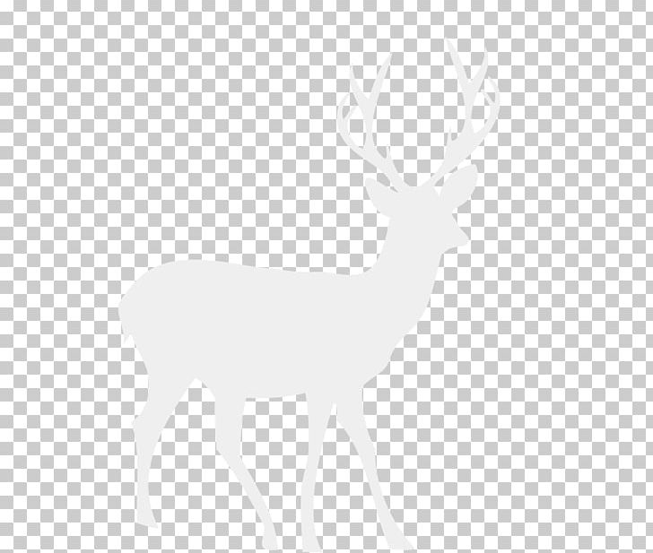 Reindeer Cartoon White-tailed Deer Black And White PNG, Clipart, Animals, Antler, Balloon Cartoon, Boy Cartoon, Cartoon Character Free PNG Download