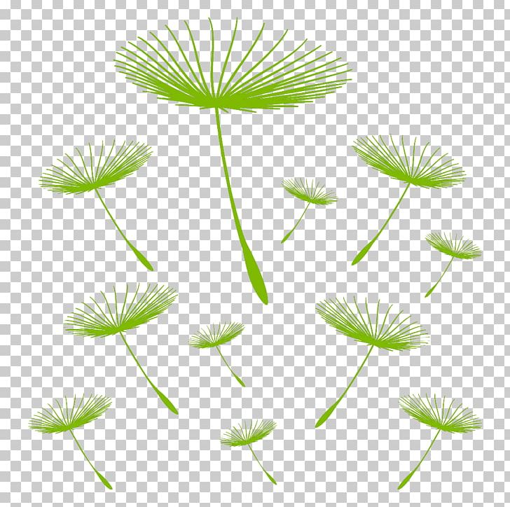 Wall Decal Sticker Decorative Arts Pissenlit PNG, Clipart, Common Dandelion, Dandelion, Decorative Arts, Flora, Flower Free PNG Download