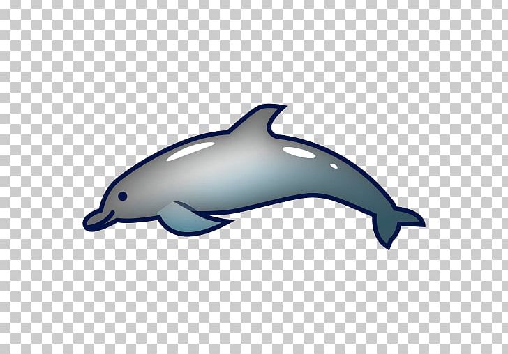 Porpoise Tucuxi Short-beaked Common Dolphin Common Bottlenose Dolphin PNG, Clipart, Animals, Cetacea, Fauna, Mammal, Marine Biology Free PNG Download