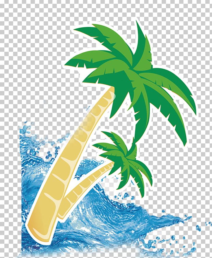 Coconut Water PNG, Clipart, Adobe Illustrator, Beautiful, Beauty, Beauty Salon, Coco Free PNG Download