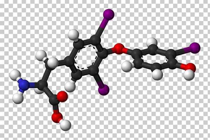 Thyroid Hormones Triiodothyronine Basal Metabolic Rate PNG, Clipart, Basal Metabolic Rate, Body Jewelry, Cell, Chemistry, Disease Free PNG Download