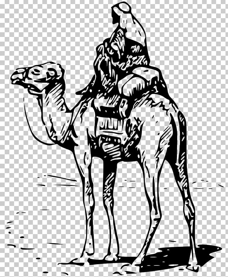 Dromedary Bactrian Camel Silk Road Equestrian PNG, Clipart, Art, Bactrian Camel, Black And White, Camel, Camel Like Mammal Free PNG Download