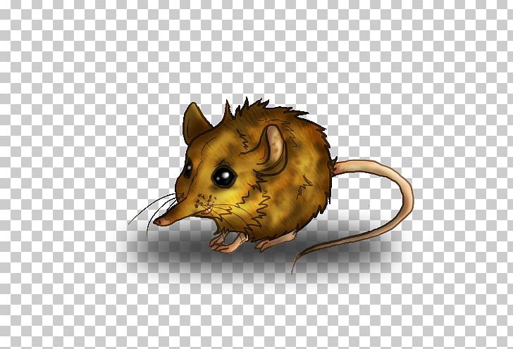 Mouse Rat Etruscan Shrew Elephant Shrew PNG, Clipart, Animal, Animals, Drawing, Elephant, Elephant Shrew Free PNG Download