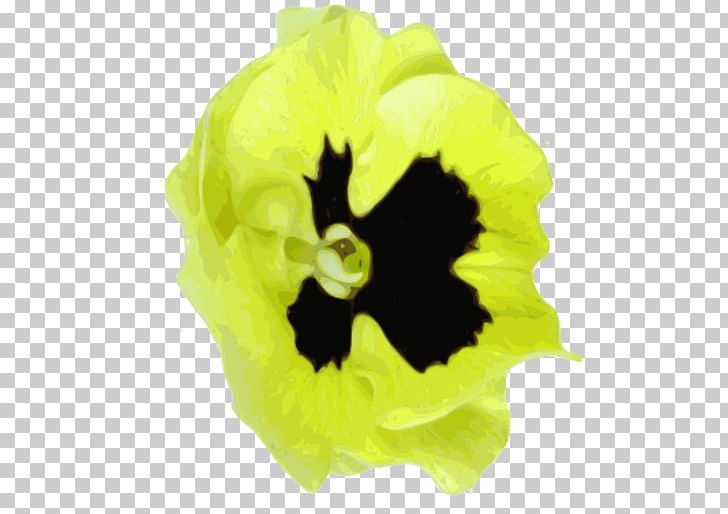 Pansy Flowering Plant Yellow PNG, Clipart, Family, Flower, Flowering Plant, Magnolia, Nature Free PNG Download