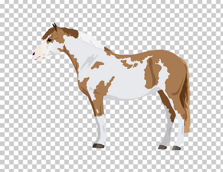Pony Mustang Stallion Foal Sorrel PNG, Clipart, Black, Coat, Colors, Colt, Equine Coat Color Free PNG Download