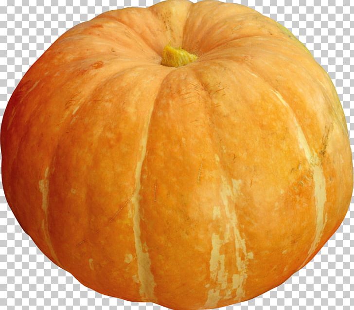Pumpkin Gourd Winter Squash Cucurbita Vegetarian Cuisine PNG, Clipart, Apple, Calabaza, Cucumber Gourd And Melon Family, Cucurbita, Cucurbita Pepo Pepo Free PNG Download