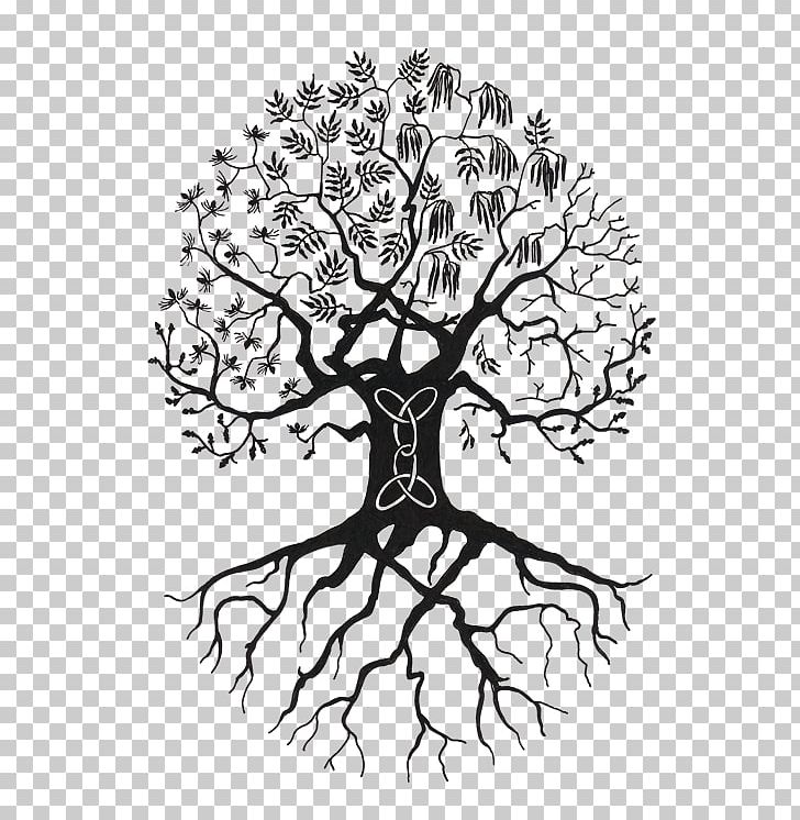 Personal Development Coaching Training Marjon Spirituality PNG, Clipart, Black And White, Branch, Coaching, Drawing, Essence Free PNG Download