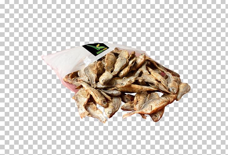 Dried And Salted Cod Food Honey Fish Atlantic Cod PNG, Clipart, Animal Source Foods, Atlantic Cod, Bkash, Bombay Duck, Candy Free PNG Download