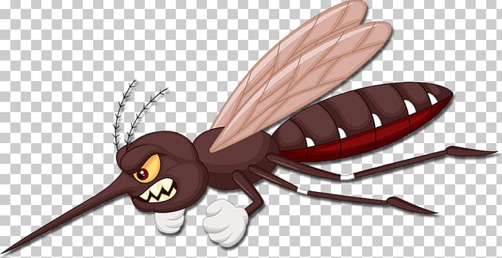 Flying Mosquitoes Flying Mosquitoes Insect Pollinator PNG, Clipart, Animal, Arthropod, Butterflies And Moths, Butterfly, Eliminate Free PNG Download