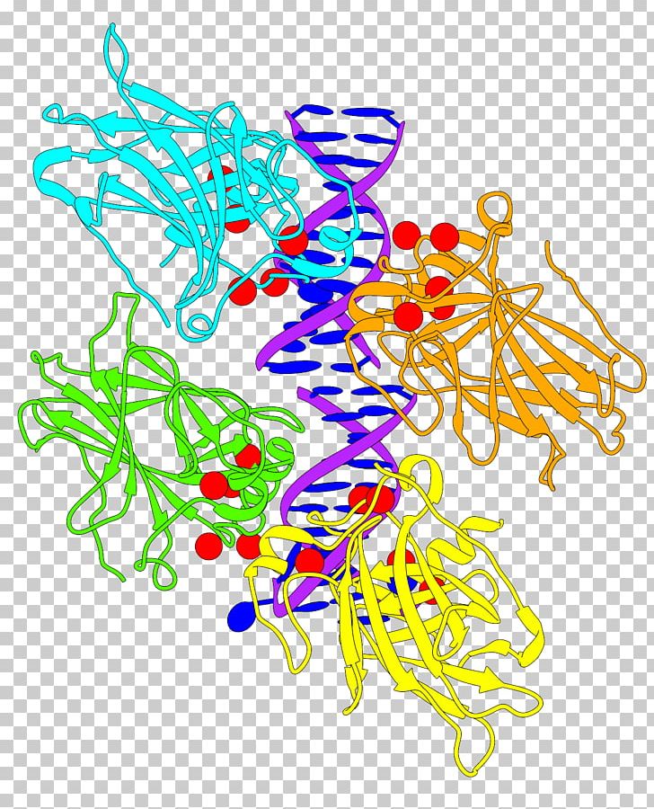 Protein Structure Protein Structure P53 PNG, Clipart, Area, Art, Body Jewelry, Chimera, Desktop Wallpaper Free PNG Download