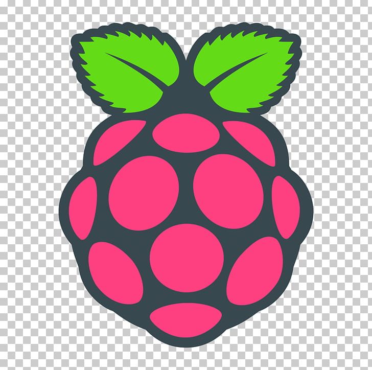 Raspberry Pi Foundation Computer Cases & Housings Raspbian PNG, Clipart, Circle, Computer, Computer Cases, Computer Hardware, Computer Software Free PNG Download