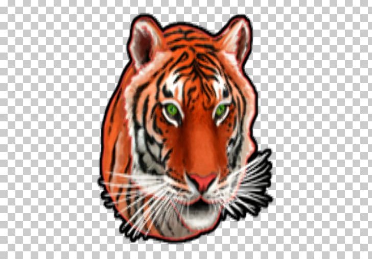 Tiger Whiskers Cat Snout PNG, Clipart, Animal, Animals, Big Cat, Big Cats, Carnivoran Free PNG Download