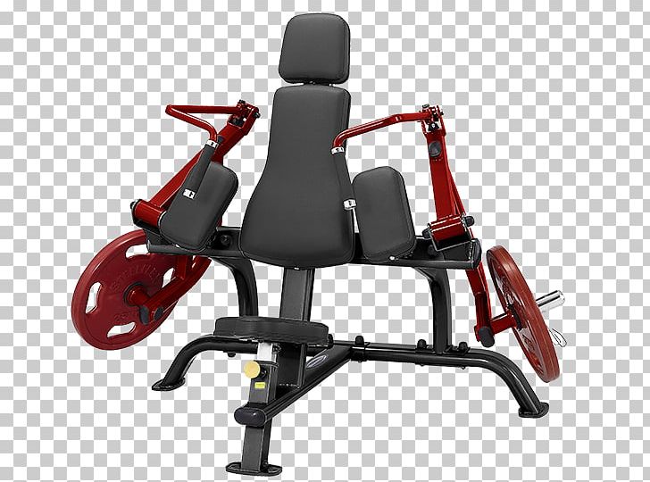 Triceps Brachii Muscle Lying Triceps Extensions Exercise Machine Biceps Curl PNG, Clipart, Biceps, Biceps Curl, Bodybuilding, Chair, Exercise Free PNG Download