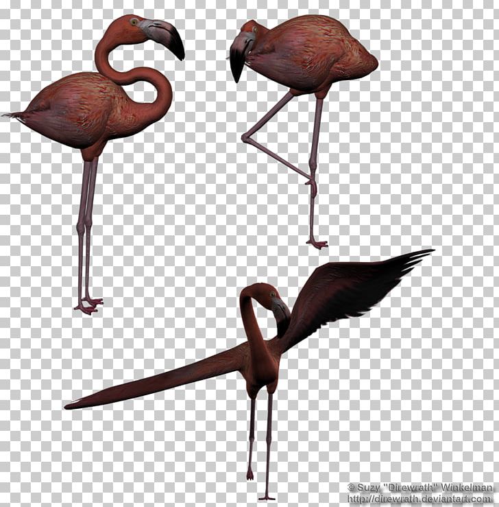 Bird Stock Cygnini Beak Egret PNG, Clipart, Animals, Beak, Bird, Crane Like Bird, Cygnini Free PNG Download