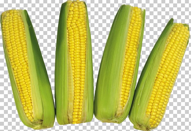Corn On The Cob Flint Corn Waxy Corn PNG, Clipart, Bikinibody, Bodybuildingfood, Commodity, Corn, Corncob Free PNG Download