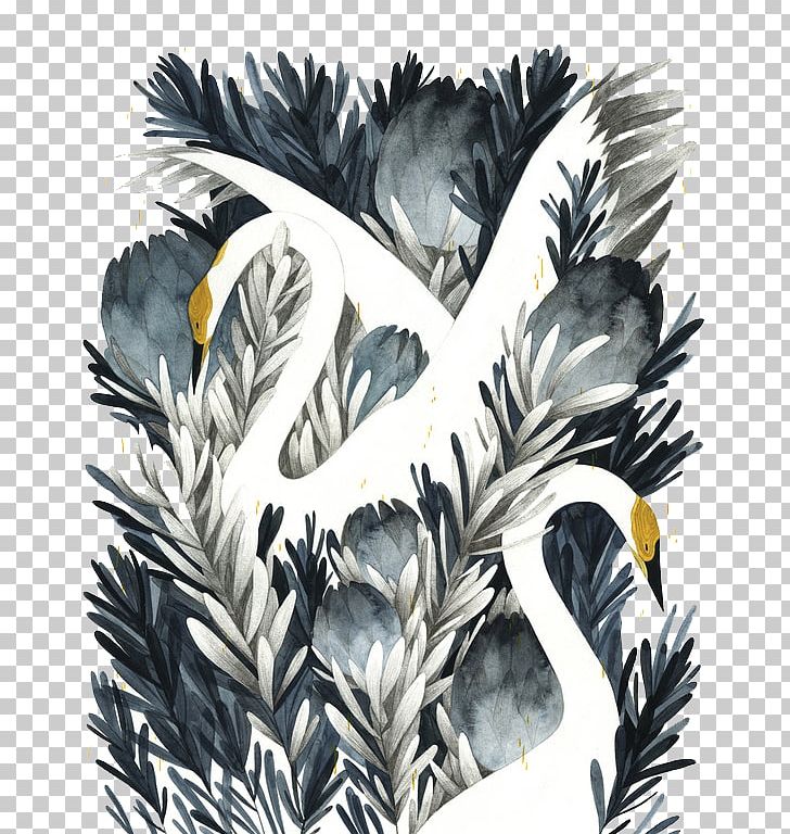Cygnini Drawing Painting Illustration PNG, Clipart, Animals, Art, Black, Black Leaves, Creative Industries Free PNG Download