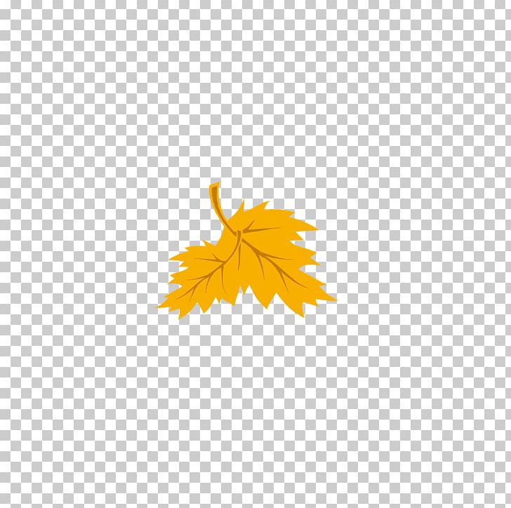 Leaf Yellow Petal PNG, Clipart, Autumn, Autumn Leaves, Banana Leaves, Computer, Computer Wallpaper Free PNG Download