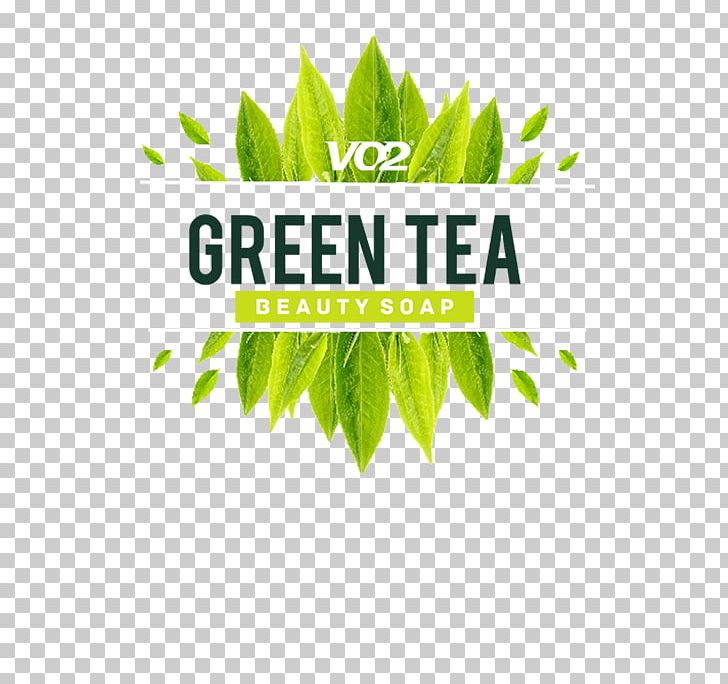 Logo Leaf Hemp Tree Font PNG, Clipart, Brand, Hemp, Herbalism, Leaf, Logo Free PNG Download