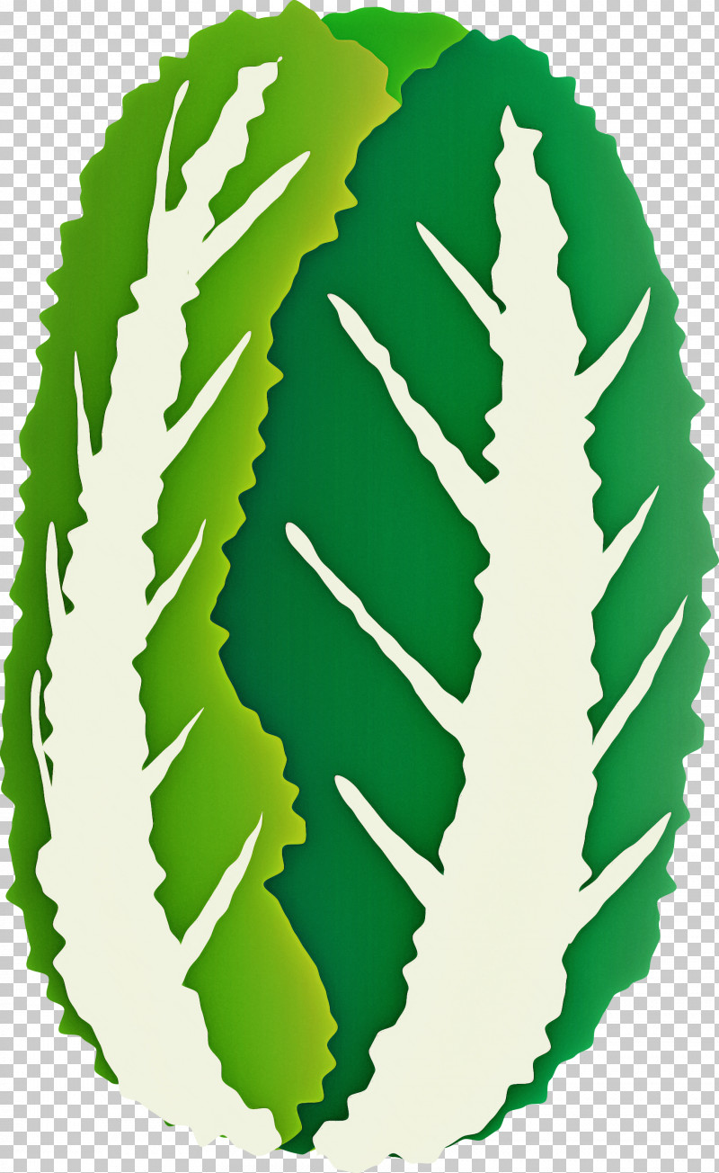 Nappa Cabbage PNG, Clipart, Green, Leaf, Nappa Cabbage, Plant Free PNG Download