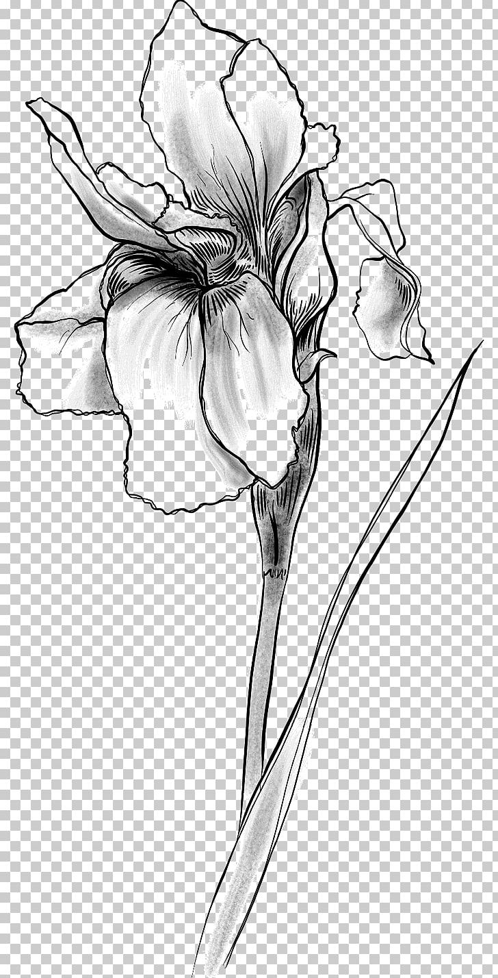 Cognac Sketch Flower Illustration Floral Design PNG, Clipart, Black And White, Branch, Cognac, Cut Flowers, Drawing Free PNG Download