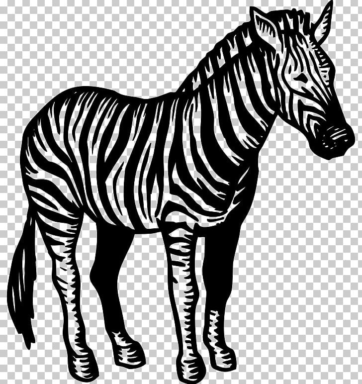 Quagga Zebra Horse PNG, Clipart, Animal, Animal Figure, Animals, Black And White, Fauna Free PNG Download