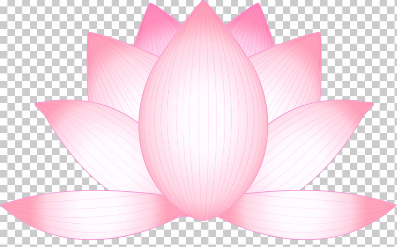 Lotus Flower PNG, Clipart, Aquatic Plant, Flower, Herbaceous Plant, Lotus, Lotus Family Free PNG Download