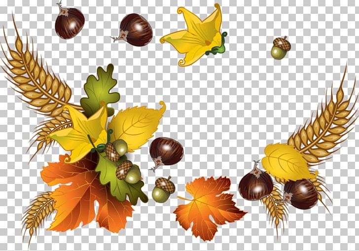 Autumn Auglis PNG, Clipart, Animation, Auglis, Autumn, Branch, Cartoon Free PNG Download