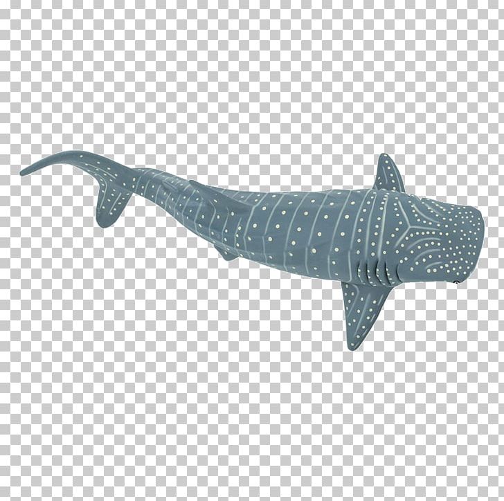 Squaliform Sharks Safari Ltd Whale Shark Animal Figurine Requiem Sharks PNG, Clipart, Animal Figure, Animal Figurine, Cartilaginous Fish, Cetacea, Figurine Free PNG Download