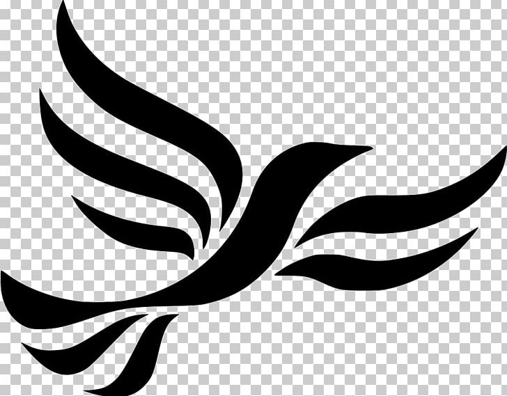 United Kingdom General Election PNG, Clipart, Artwork, Base 64, Beak, Bird, Black Free PNG Download