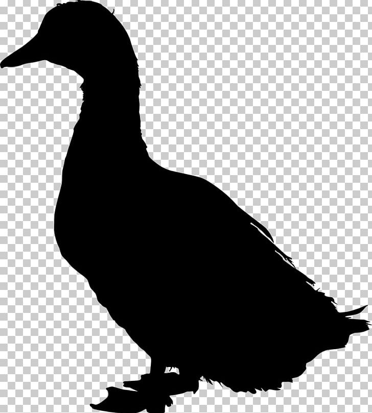 American Pekin Duck Mallard Bird Silhouette PNG, Clipart, American Pekin, Anatidae, Animal, Animals, Anseriformes Free PNG Download