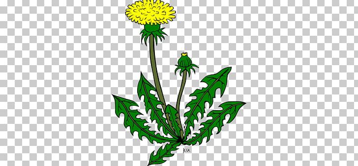 Desktop Common Dandelion PNG, Clipart, Commodity, Common Dandelion, Computer Icons, Dandelion, Desktop Wallpaper Free PNG Download