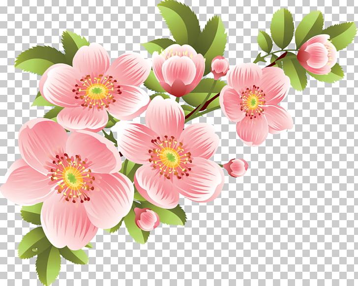 Flower Banner PNG, Clipart, Banner, Blossom, Cherry Blossom, Cut Flowers, Drawing Free PNG Download