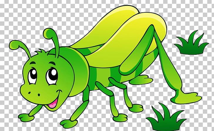 Insect Cartoon PNG, Clipart, Animal Figure, Animals, Artwork, Bed Bug,  Cartoon Free PNG Download