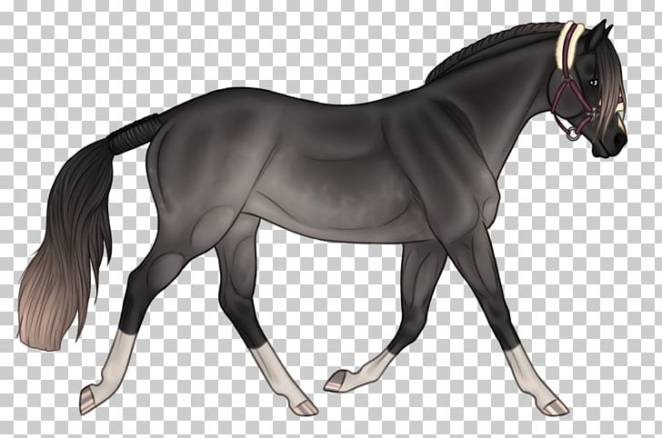Mane Mustang Stallion Pony Mare PNG, Clipart, Bridle, English Riding, Equestrian, Halter, Horse Free PNG Download