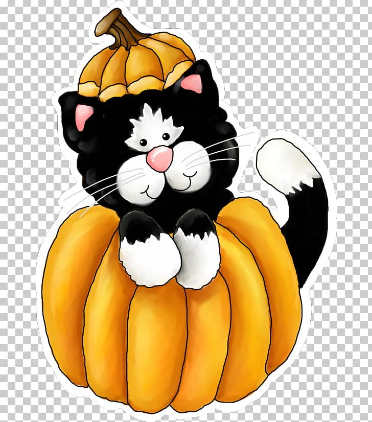 Whiskers Cat Free Content PNG, Clipart, Autumn, Blog, Calabaza, Carnivoran, Cartoon Free PNG Download