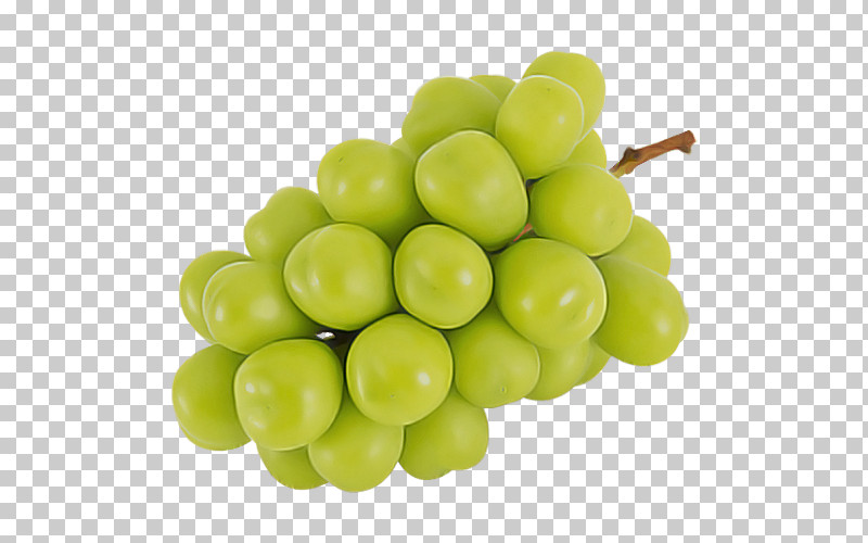Grape Seedless Fruit Fruit Grapevine Family Sultana PNG, Clipart, Food, Fruit, Grape, Grapevine Family, Plant Free PNG Download