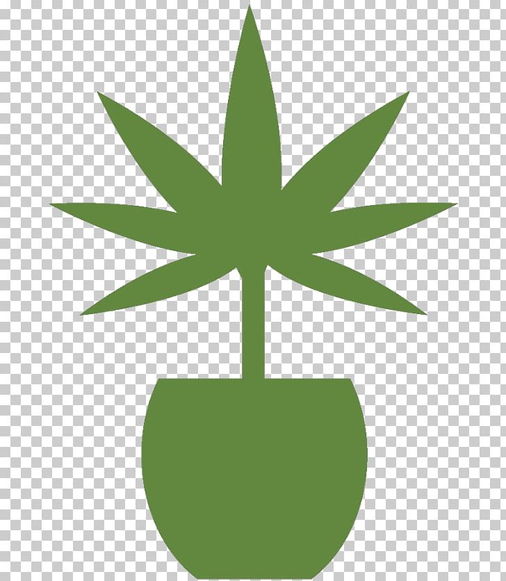 Medical Cannabis La Marijuana Medicine PNG, Clipart, Cannabis, Emblem, Flowering Plant, Grass, Green Free PNG Download