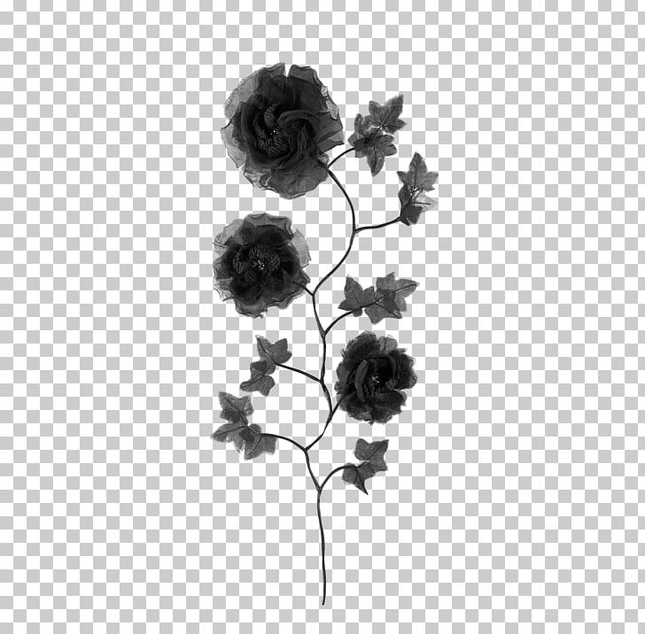 Floral Design Cut Flowers Petal PNG, Clipart, Black, Black And White, Black M, Cut Flowers, Flora Free PNG Download