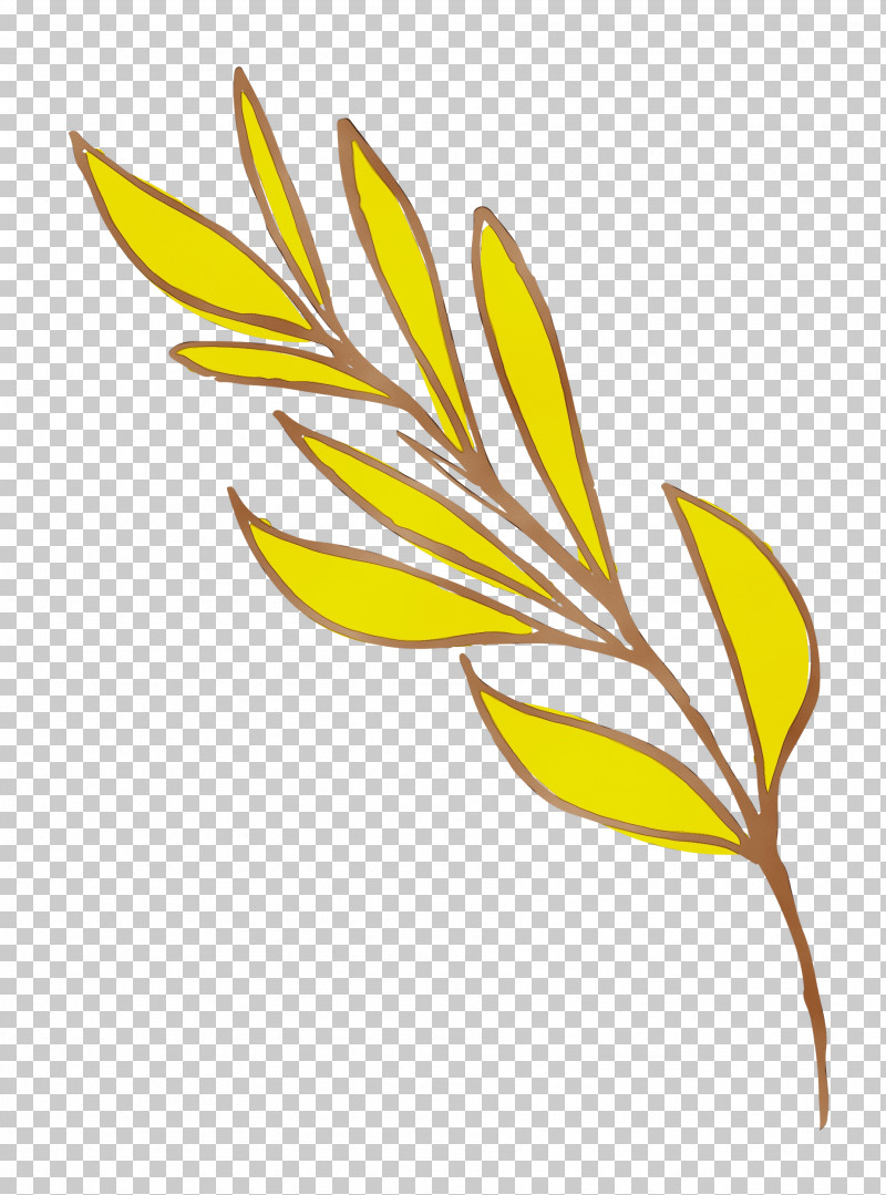 Flower Plant Stem Leaf Yellow Line PNG, Clipart, Biology, Cartoon, Commodity, Cool, Flower Free PNG Download