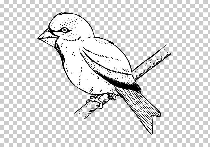 Finch Bird Line Art PNG, Clipart, Animals, Art, Artwork, Beak, Bird Free PNG Download
