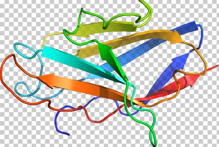 Line Point PNG, Clipart, Area, Art, Line, Point, Protein Trimer Free PNG Download