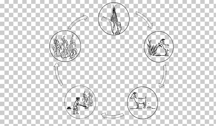 Sanitation Drawing Cleanliness Line Art Sketch PNG, Clipart, Angle, Area, Artwork, Black And White, Body Jewelry Free PNG Download