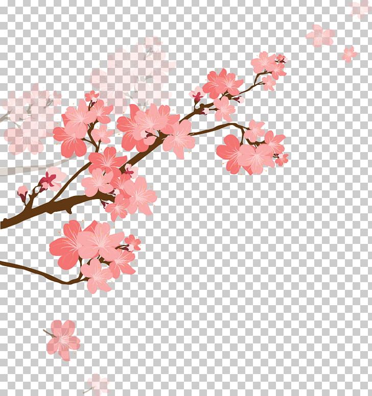 Capricorn Cherry Blossom Zodiac Woman PNG, Clipart,  Free PNG Download