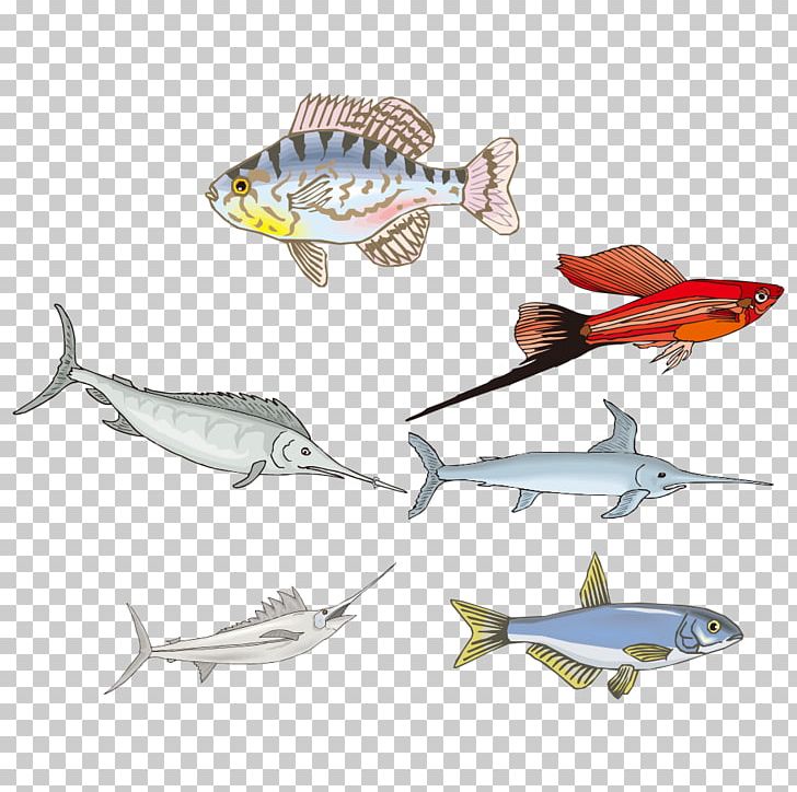 Fish Drawing Biology PNG, Clipart, Animals, Animation, Balloon Cartoon, Biological, Biology Free PNG Download